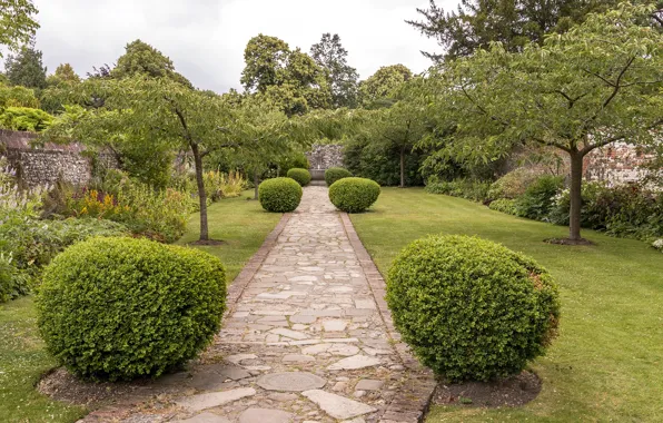 Park, track, UK, shrubs