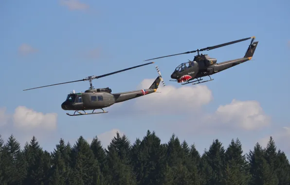 Picture flight, pair, helicopter, blades