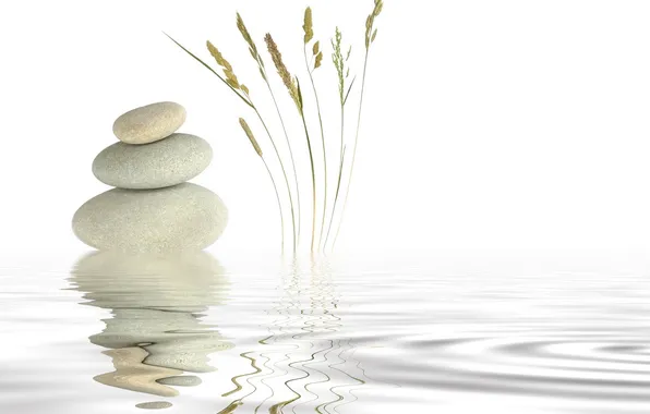 Picture water, stones, white, reed