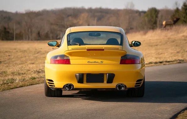 Picture 911, Porsche, Porsche 911 Turbo S