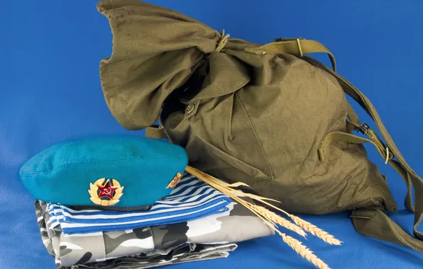 Background, form, ears, camouflage, backpack, vest, blue beret