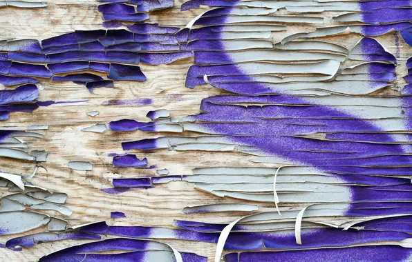 Picture white, wood, pattern, violet, spray paint