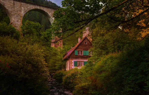 Roof, greens, autumn, leaves, trees, branches, bridge, comfort