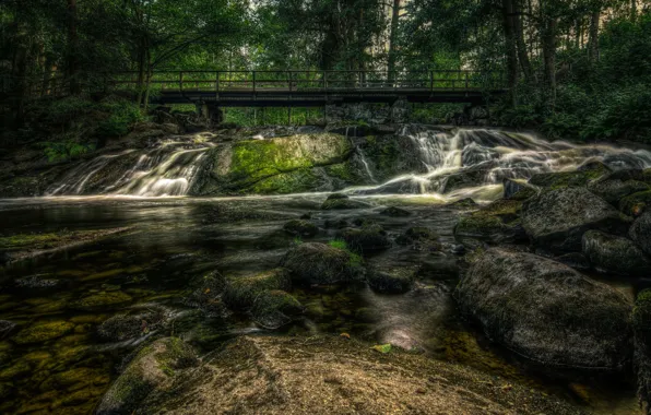 Picture forest, bridge, river, stones, for, moss, forest, river