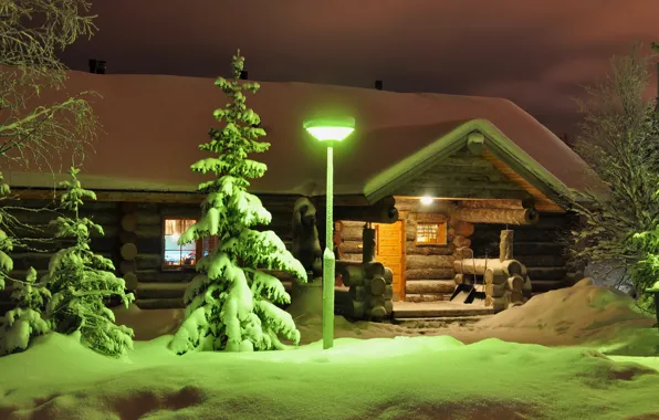 Winter, light, snow, trees, night, spruce, lantern, house