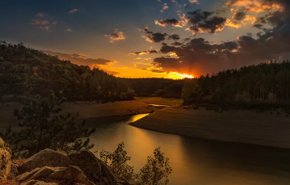 Forest, sunset, clouds, river, stones, view, pond, pine
