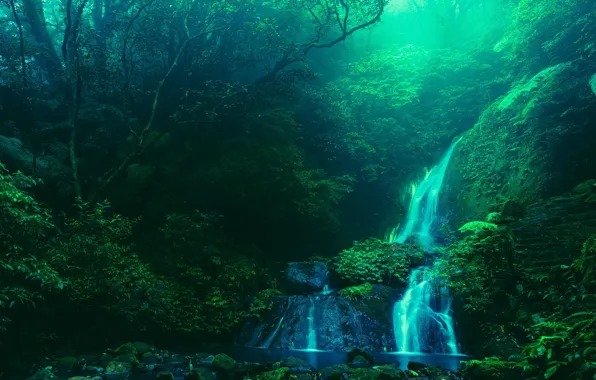 Water, trees, nature, stream, stones, waterfall, Taiwan, steps