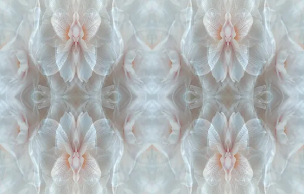 Texture, art, fractal art