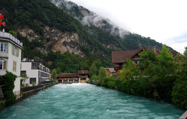 Picture city, river, Town