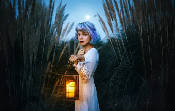 Picture look, girl, the reeds, mood, dress, lantern, blue hair, Valentina Diaz