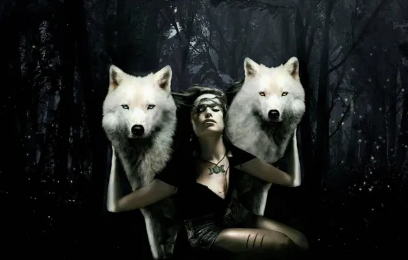 Picture nature, predator, animal, wolf, wolves, wildlife, with input, Canis lupus
