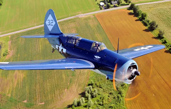 Field, flight, the plane, fighter, propeller