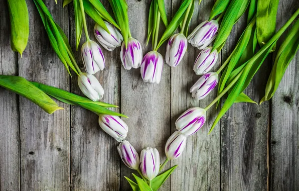 Picture flowers, heart, Board, tulips