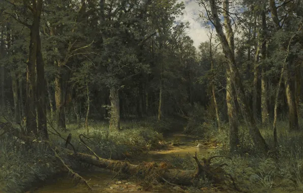 Forest, landscape, picture, Ivan Ivanovich Shishkin, Dark Wood