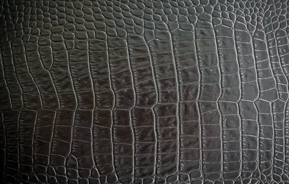 Black, leather, Texture