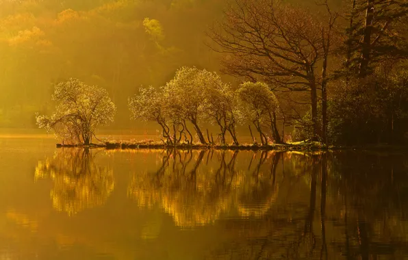 Picture autumn, forest, trees, sunset, lake, reflection, island