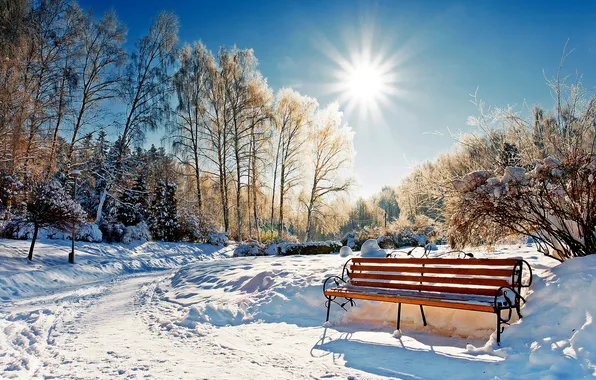 Winter, the sky, the sun, snow, trees, landscape, bench, nature