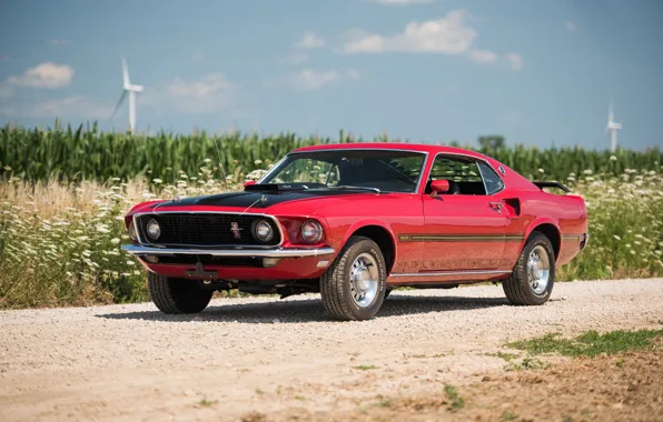 Mustang, Ford, Mustang, 1969, Ford