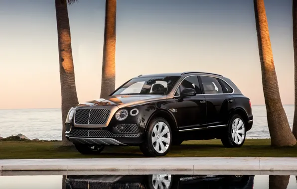 Bentley, Mulliner, 2017, Bentayga