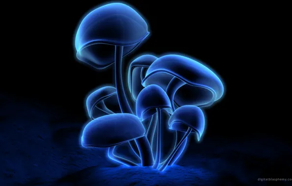 Neon, Digital, Mushroom