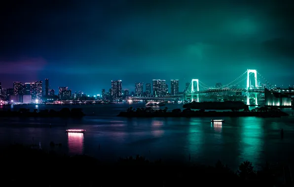 Picture reflection, night, bridge, lights, building, skyscrapers, Japan, Tokyo