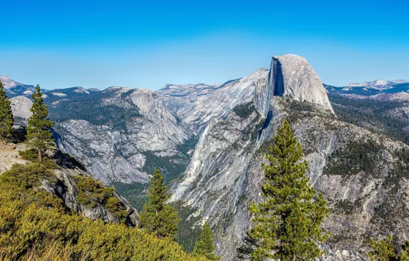 Forest, the sky, the sun, trees, mountains, stones, rocks, height