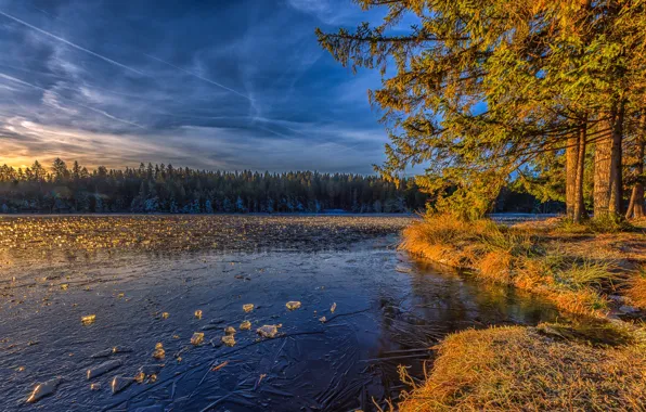 Ice, autumn, clouds, light, trees, branches, lake, pond