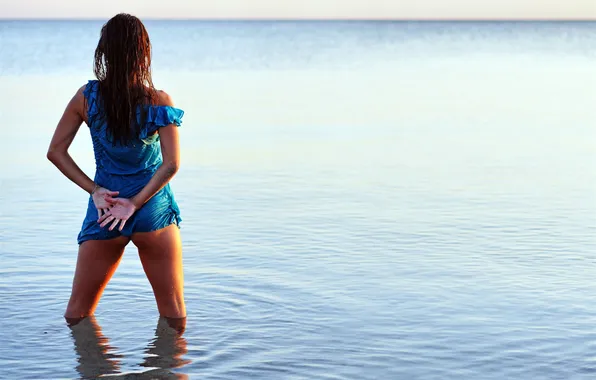 SEA, DRESS, VIEW, BACK, BROWN hair, BLUE