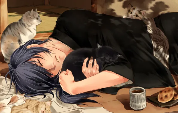 Tea, cats, sleeping, guy, Hakuouki, Saitou Hajime, Shinsengumi