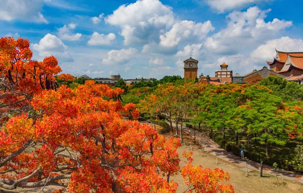 The sky, landscape, Park, town, wood