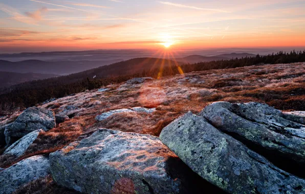 Field, autumn, forest, the sky, the sun, clouds, rays, light