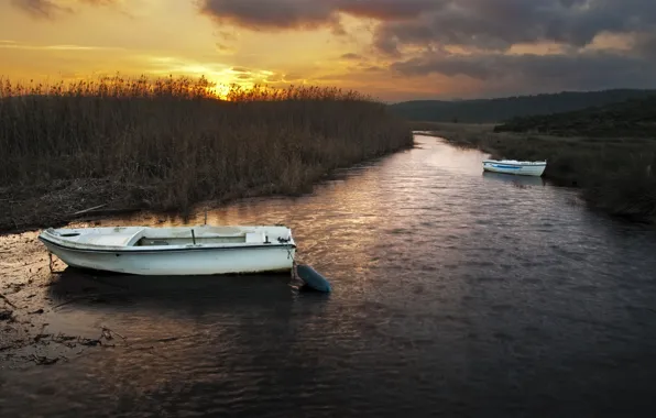 Picture sunset, river, boats, reed