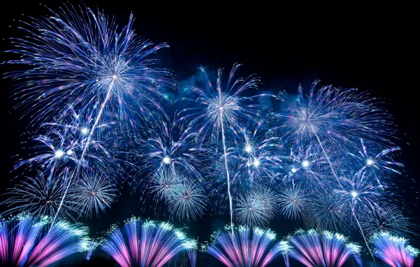 Picture beauty, salute, fireworks