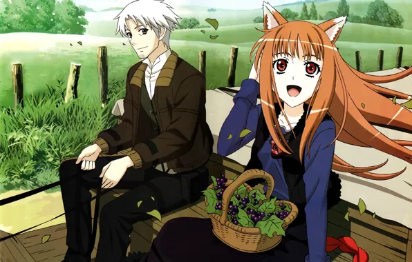 Joy, field, wagon, two, basket, ears, spice and wolf, horo