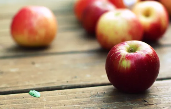 Green, background, tree, red, widescreen, Wallpaper, apples, Board