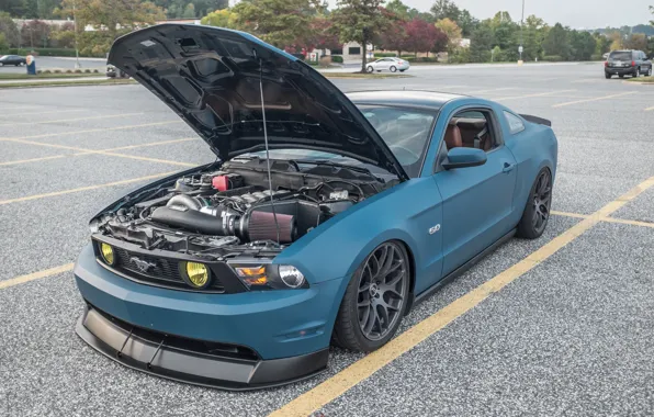 Picture engine, Mustang, Ford, Road, the hood, power, drives, blue