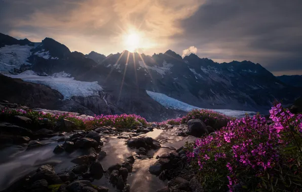 The sun, clouds, rays, light, snow, flowers, mountains, stream
