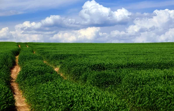 Road, field, landscape