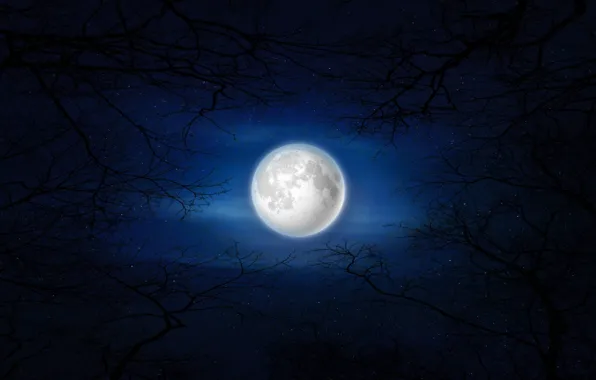 Moon, trees, night, deep blue