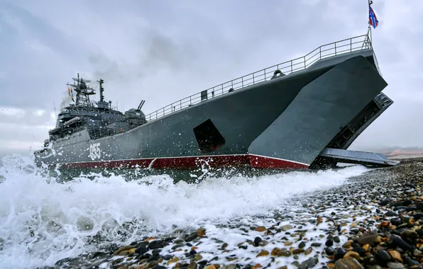 Picture landing ship, the project 775, Admiral Nevelskoy