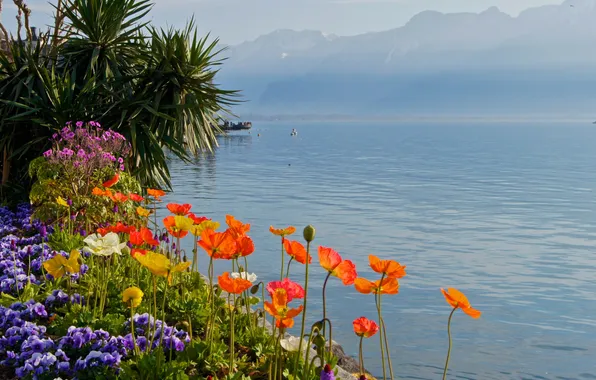 Picture the sky, flowers, mountains, lake