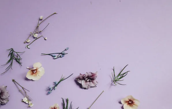 Picture style, lilac, FLOWERS