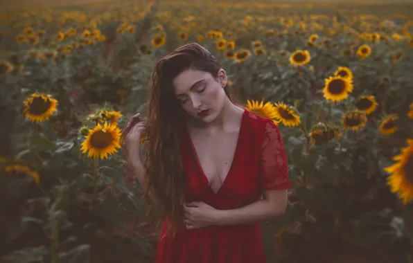 Field, girl, sunflowers, mood, red dress, long hair, Isabella Phillips