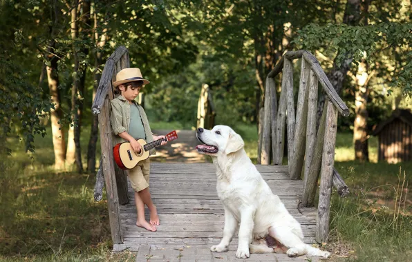 Light, trees, nature, pose, guitar, dog, hat, boy