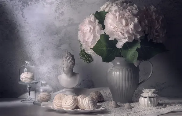 White, leaves, light, flowers, table, grey, wall, woman