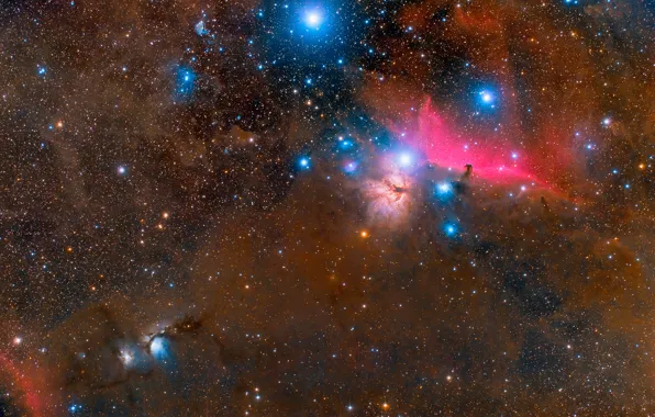 Picture stars, placer, Orion Molecular Cloud