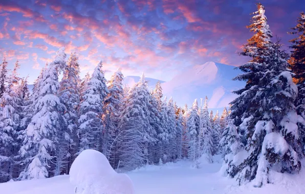 Picture the sky, clouds, light, snow, trees, mountains, Winter