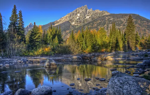 Picture forest, trees, mountains, stream, stones, USA, driftwood, Grand Teton