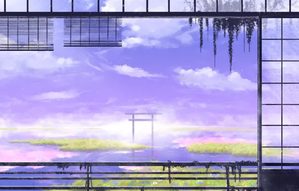 Nature, fog, swamp, torii