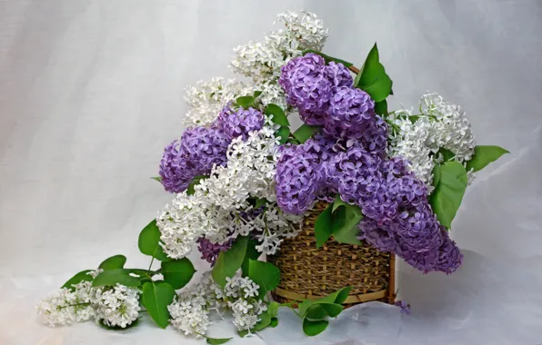 Picture flowers, house, beauty, spring, may, vase, still life, lilac